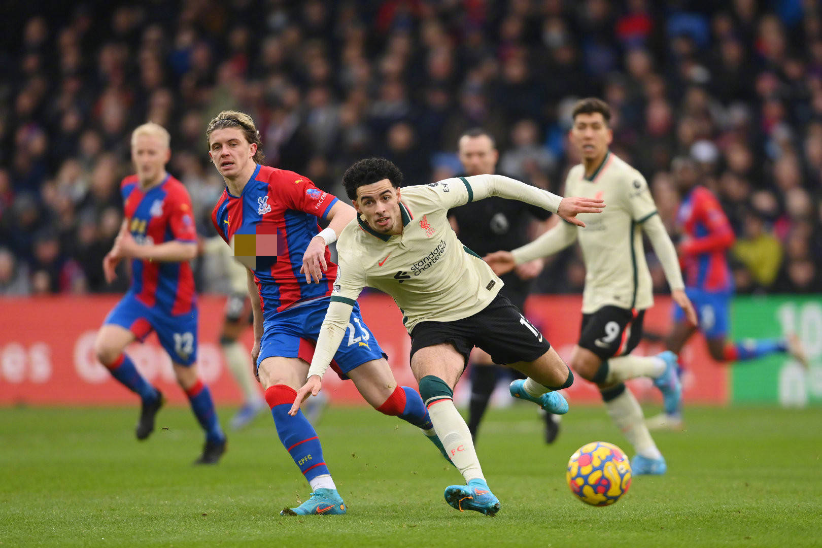 新月球队曾 新月球队曾